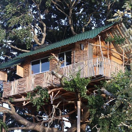 Hotel Yala Dream Park Extérieur photo