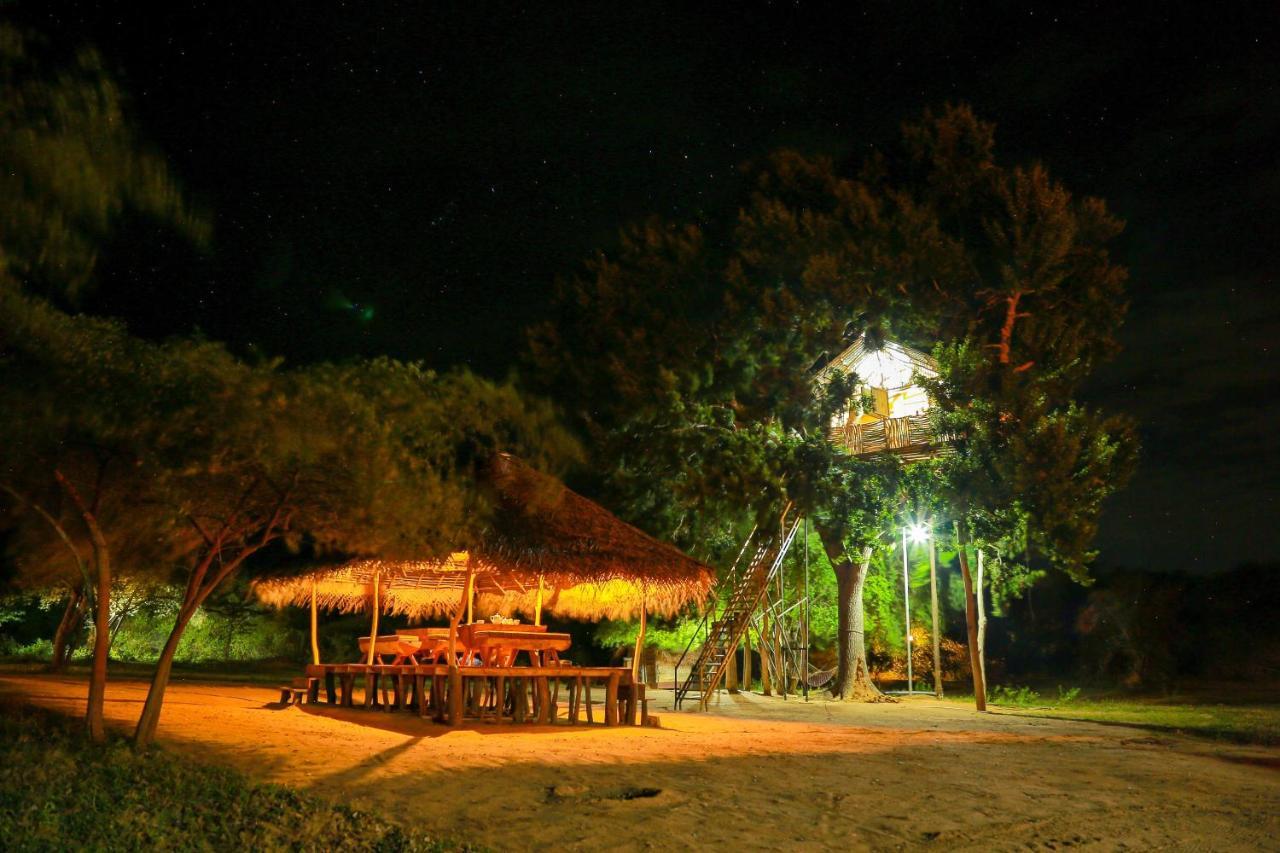 Hotel Yala Dream Park Extérieur photo