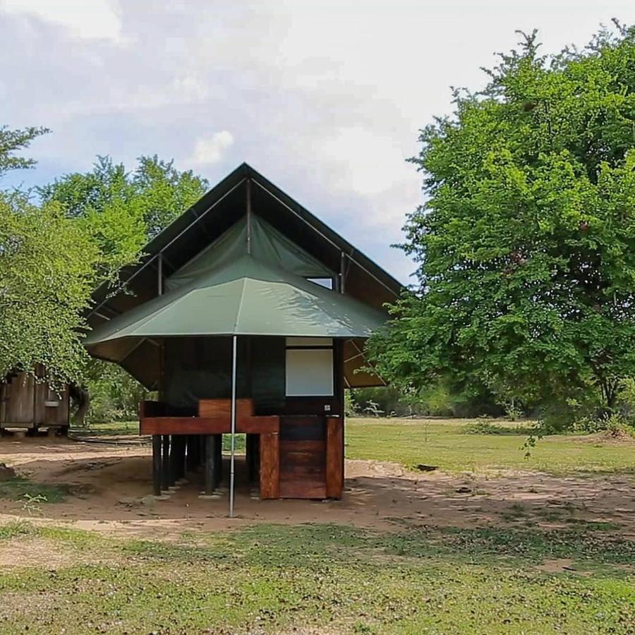 Hotel Yala Dream Park Extérieur photo