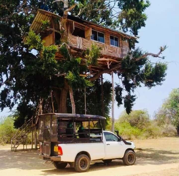 Hotel Yala Dream Park Extérieur photo