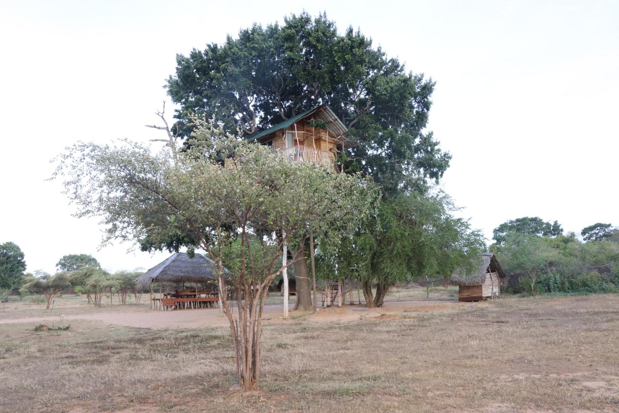 Hotel Yala Dream Park Extérieur photo