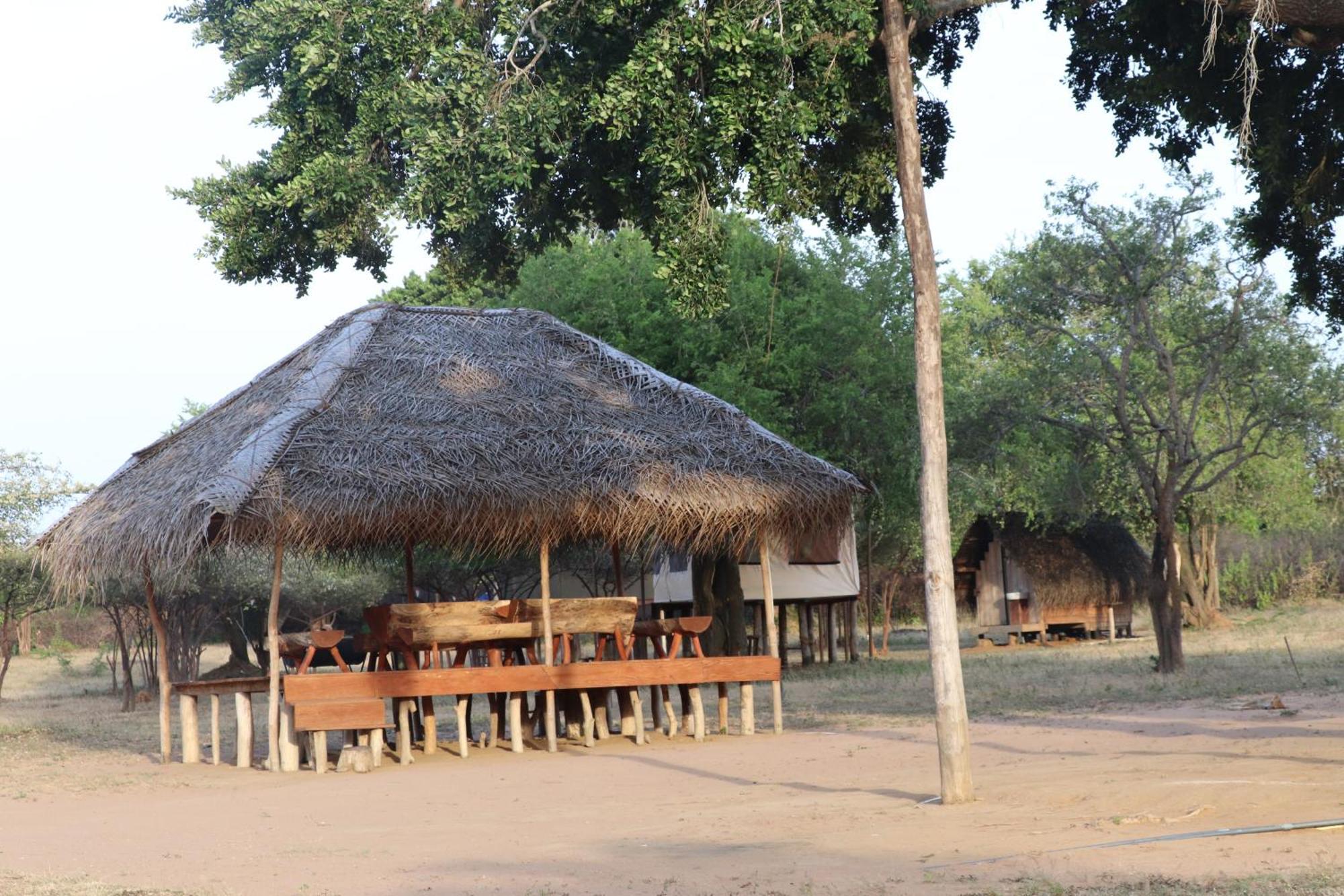 Hotel Yala Dream Park Extérieur photo
