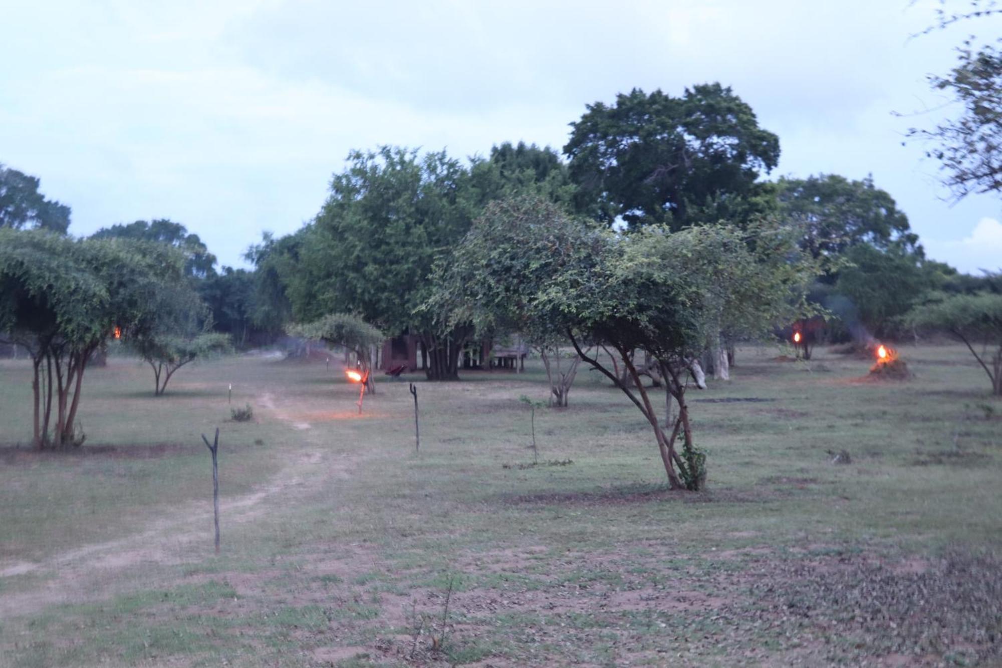 Hotel Yala Dream Park Extérieur photo