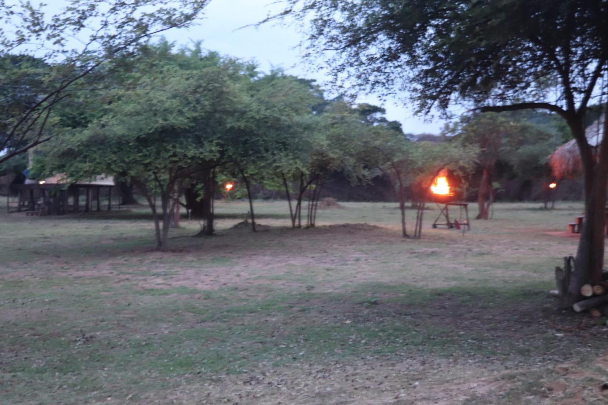 Hotel Yala Dream Park Extérieur photo