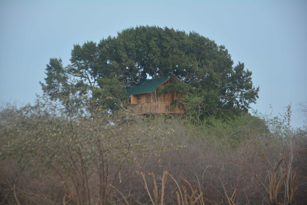 Hotel Yala Dream Park Extérieur photo