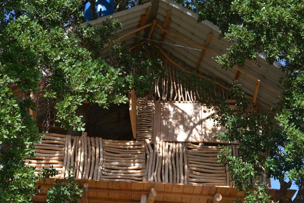 Hotel Yala Dream Park Extérieur photo