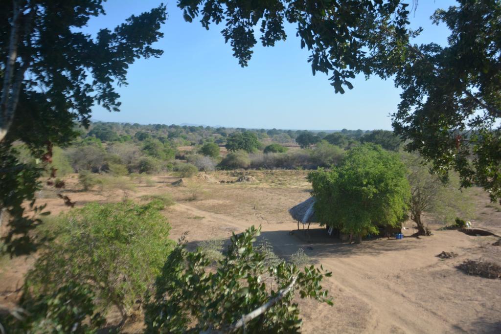 Hotel Yala Dream Park Extérieur photo